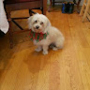 Meet your Posher, Leslie